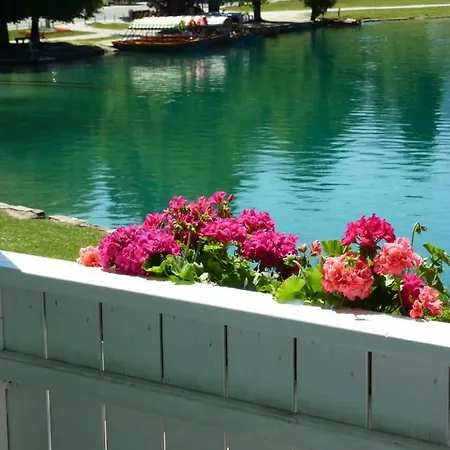 Pletna A Double Lake-view Bled