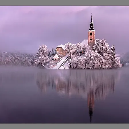 Pletna A Double Lake-view * Bled