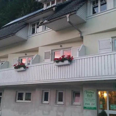 Pletna A Double Lake-view Bed & Breakfast Bled