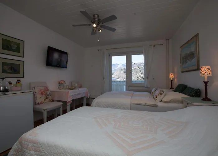 Pletna A Double Lake-view Bed and breakfast 3*