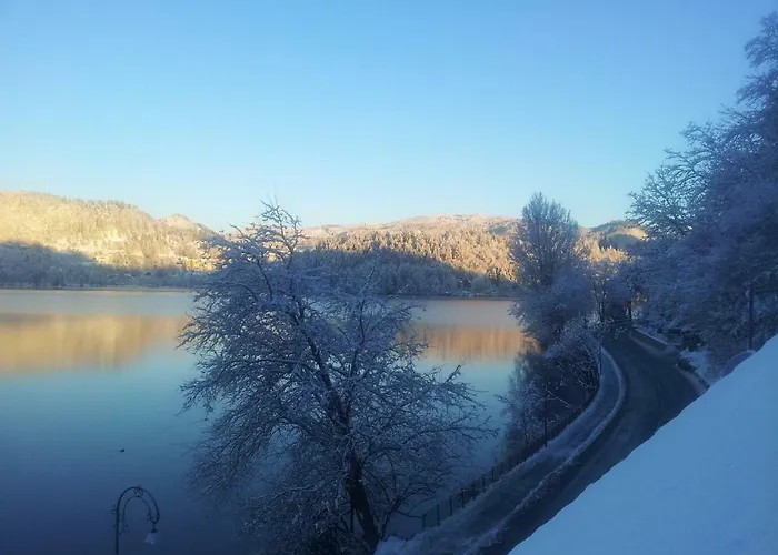 Bed & Breakfast Pletna A Double Lake-view 3*