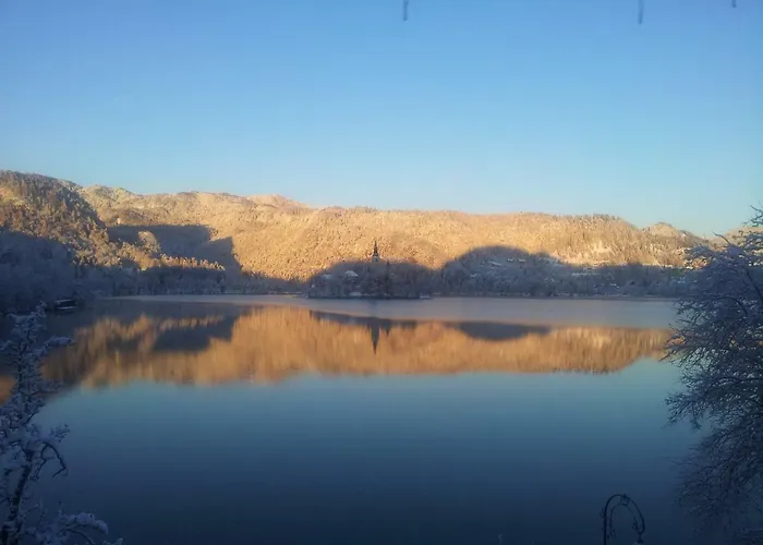 Bed & Breakfast Pletna A Double Lake-view 3*